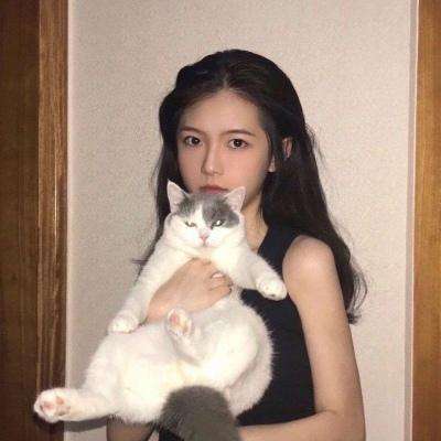 仙魔奇谭手游下载